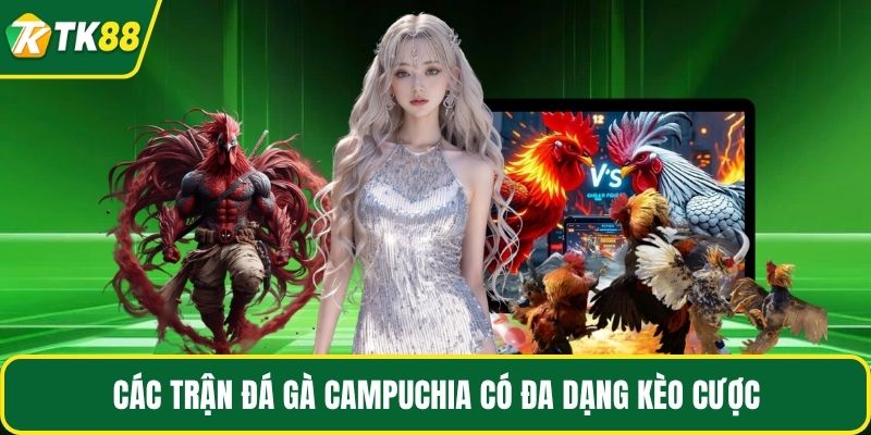 Các trận đá gà Campuchia có đa dạng kèo cược