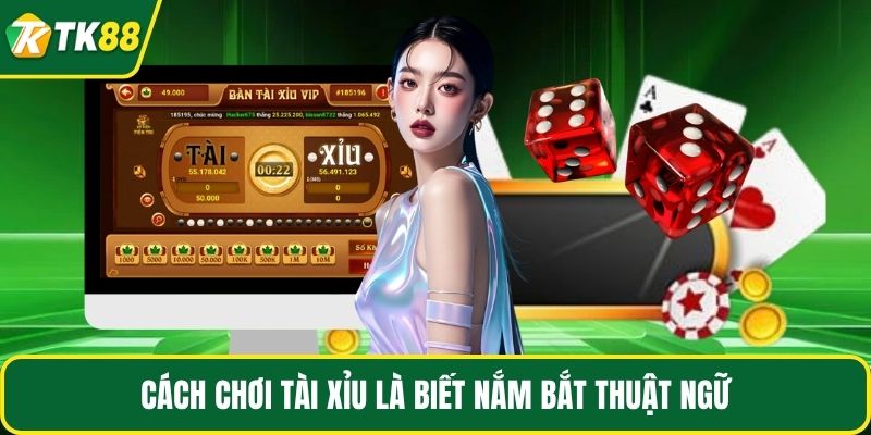Cách chơi tài xỉu là biết nắm bắt thuật ngữ
