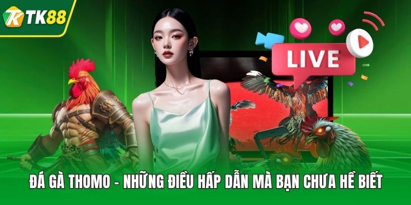 Đá Gà Thomo