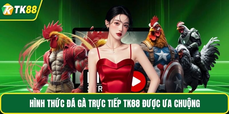 Hình thức đá gà trực tiếp TK88 được ưa chuộng